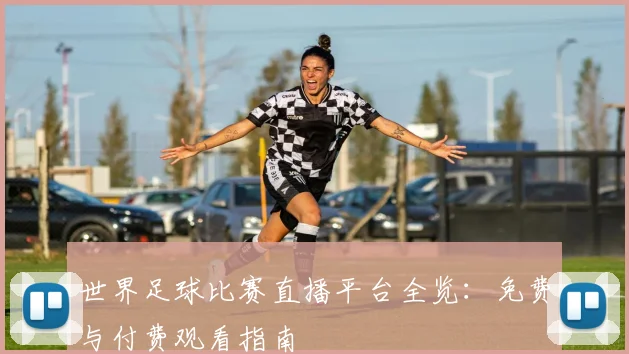 世界足球比赛直播平台全览:免费与付费观看指南
